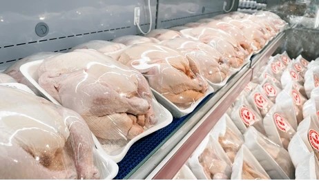 Fresh Chicken
