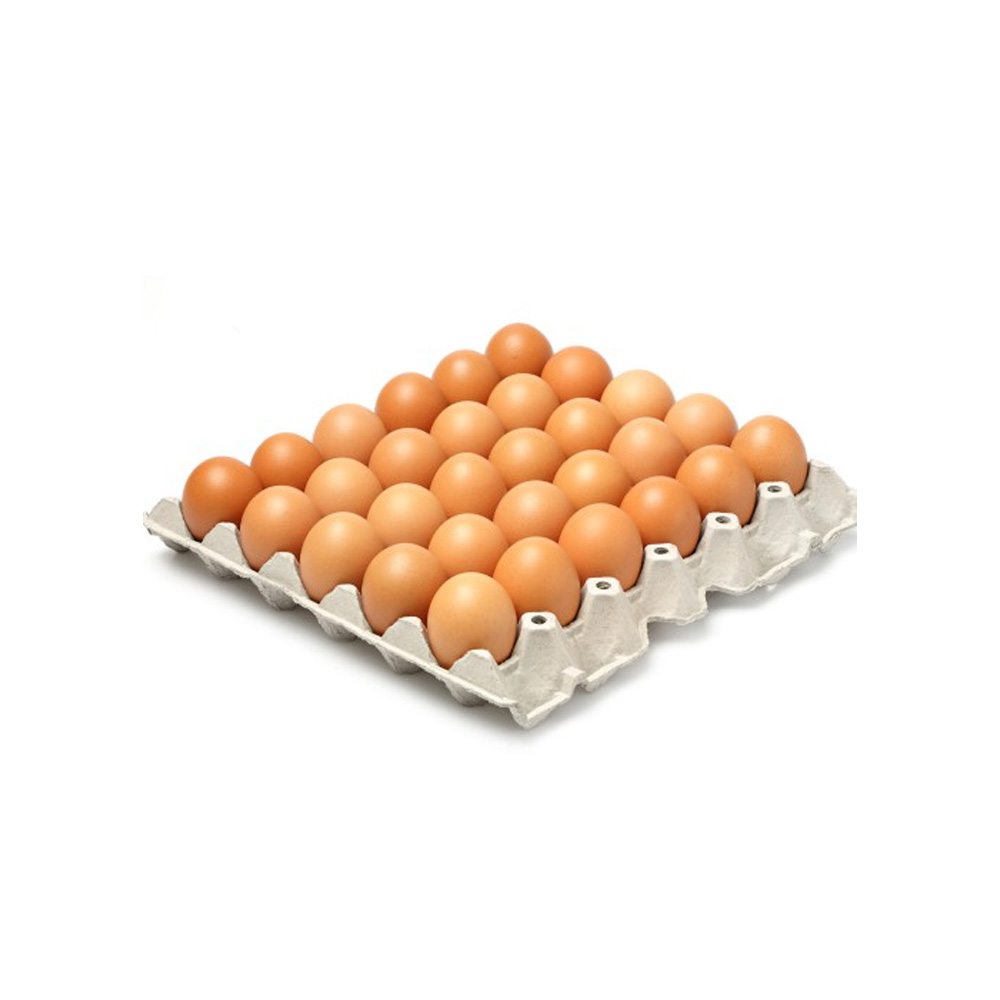 Fresh Eggs