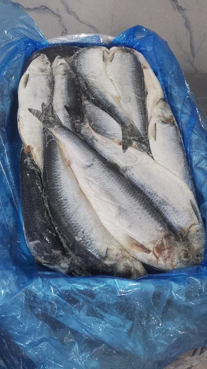 Sawa Fish